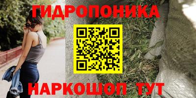 сатива Волгодонск