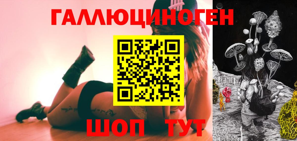 Гусев  Псилоцибиновые грибы Cubensis  Вход с VPN 